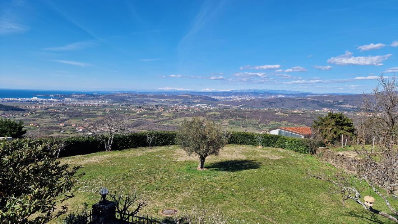 Apartma Panorama Marezige Zewnętrze zdjęcie